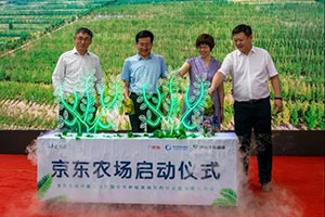 爱体育电子app（中国）有限公司官网